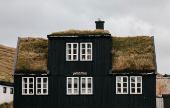 house with grass roof