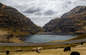 lake and mountains