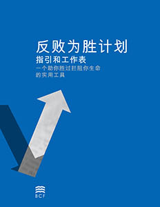 Chinese Simplified Victory Over Failures Plan cover