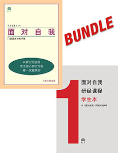 Chinese Simplified Self Confrontation bundle layered cover